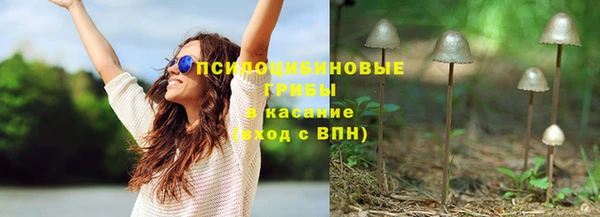 дживик Няндома