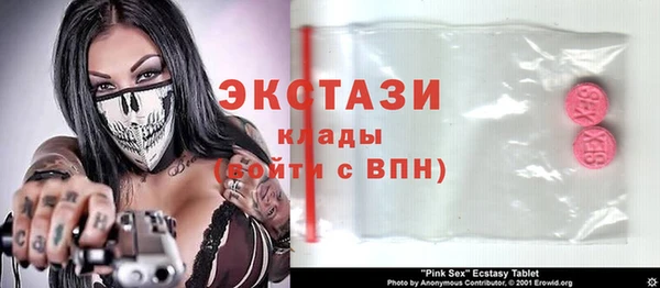 дживик Няндома