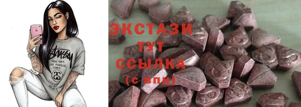 дживик Няндома