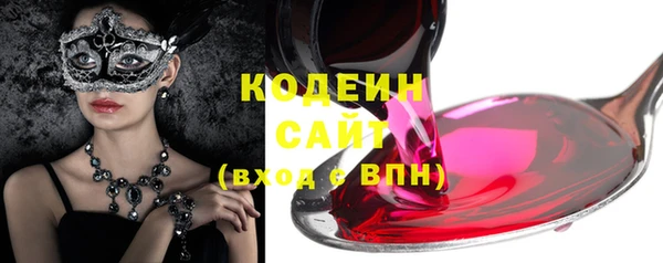 дживик Няндома