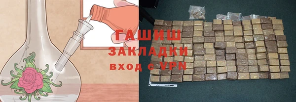 дживик Няндома