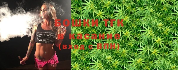 дживик Няндома