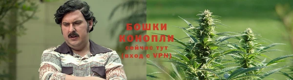 мескалин Нягань