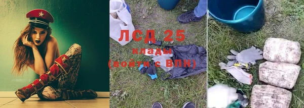 твердый Осинники
