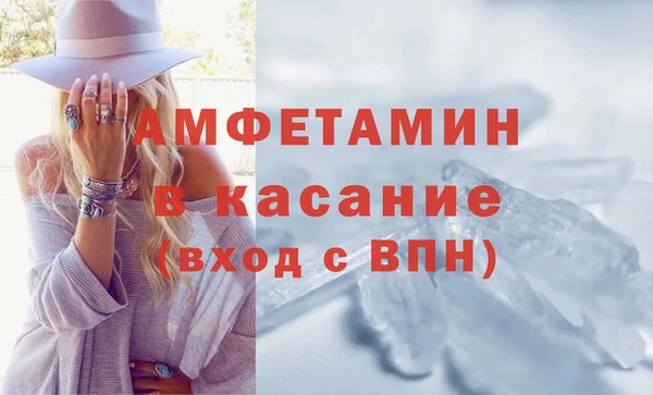 дживик Няндома