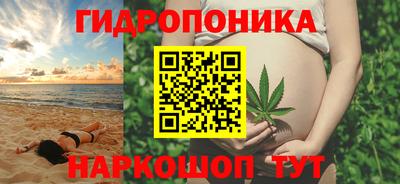 трава Кандалакша