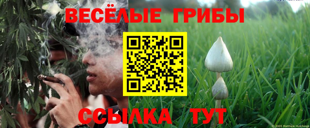 Псилоцибиновые грибы Cubensis  Вход с VPN  даркнет сайт  Псилоцибиновые грибы MAGIC MUSHROOMS  Кропоткин 