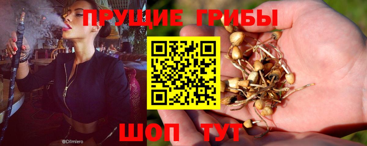 Галлюциногенные грибы прущие грибы Кропоткин