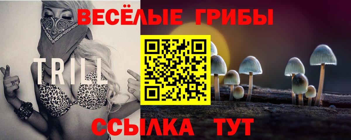 Псилоцибиновые грибы GOLDEN TEACHER  Кропоткин 